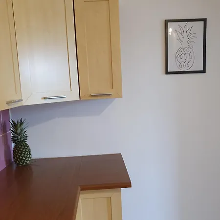 Apartament Bretowska Brama * Gdaňsk